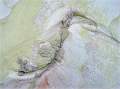 Moira Ellice - Eucalyptus Bird